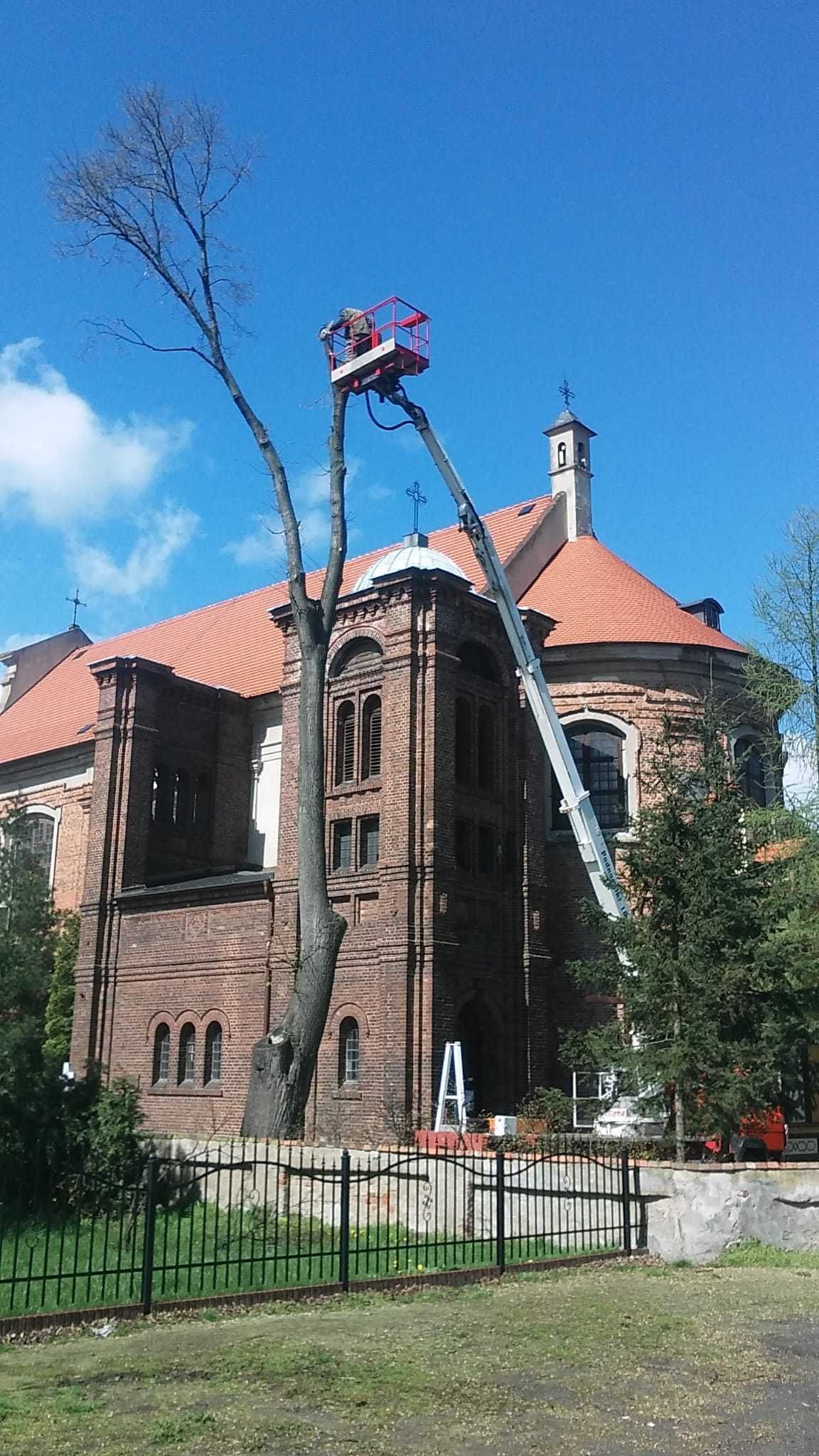 Wycinka drzew Frezowanie pni, rębak Podnośnikiem koszowym 25 m Koparką