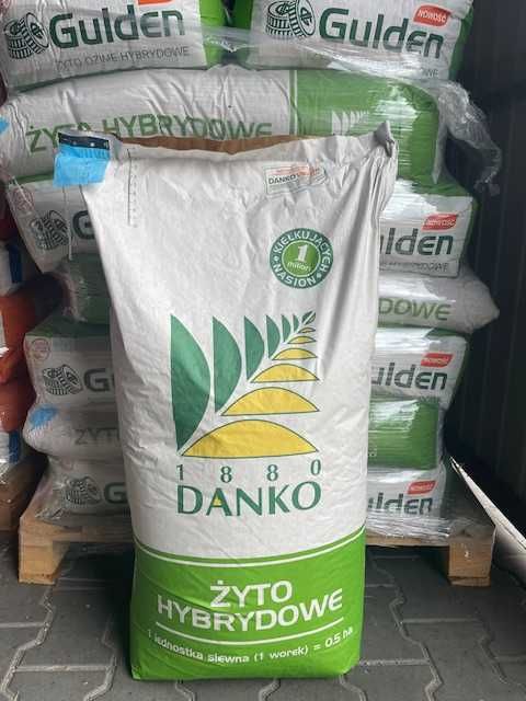 Żyto hybrydowe mieszaniec TUR Gulden