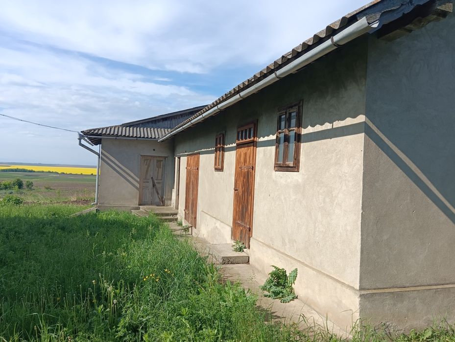 Продаж будинку в чарівному місці