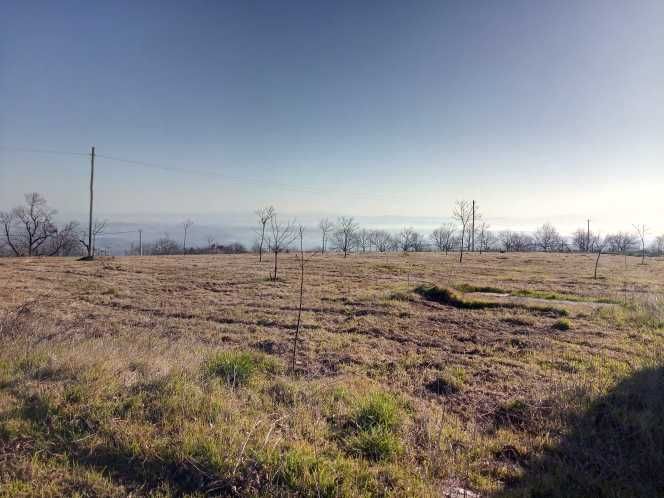 Quinta em Carrazedo de Montenegro  5 Ha