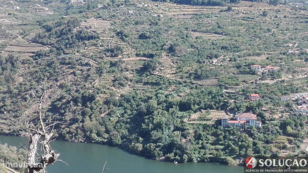 Quinta - Pomar
