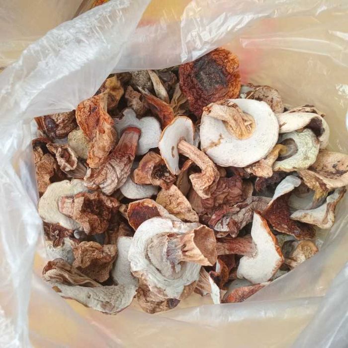 Гриби білі, сушені в печі 1 сорту