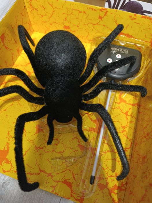 Pająk tarantula zdalnie sterowany