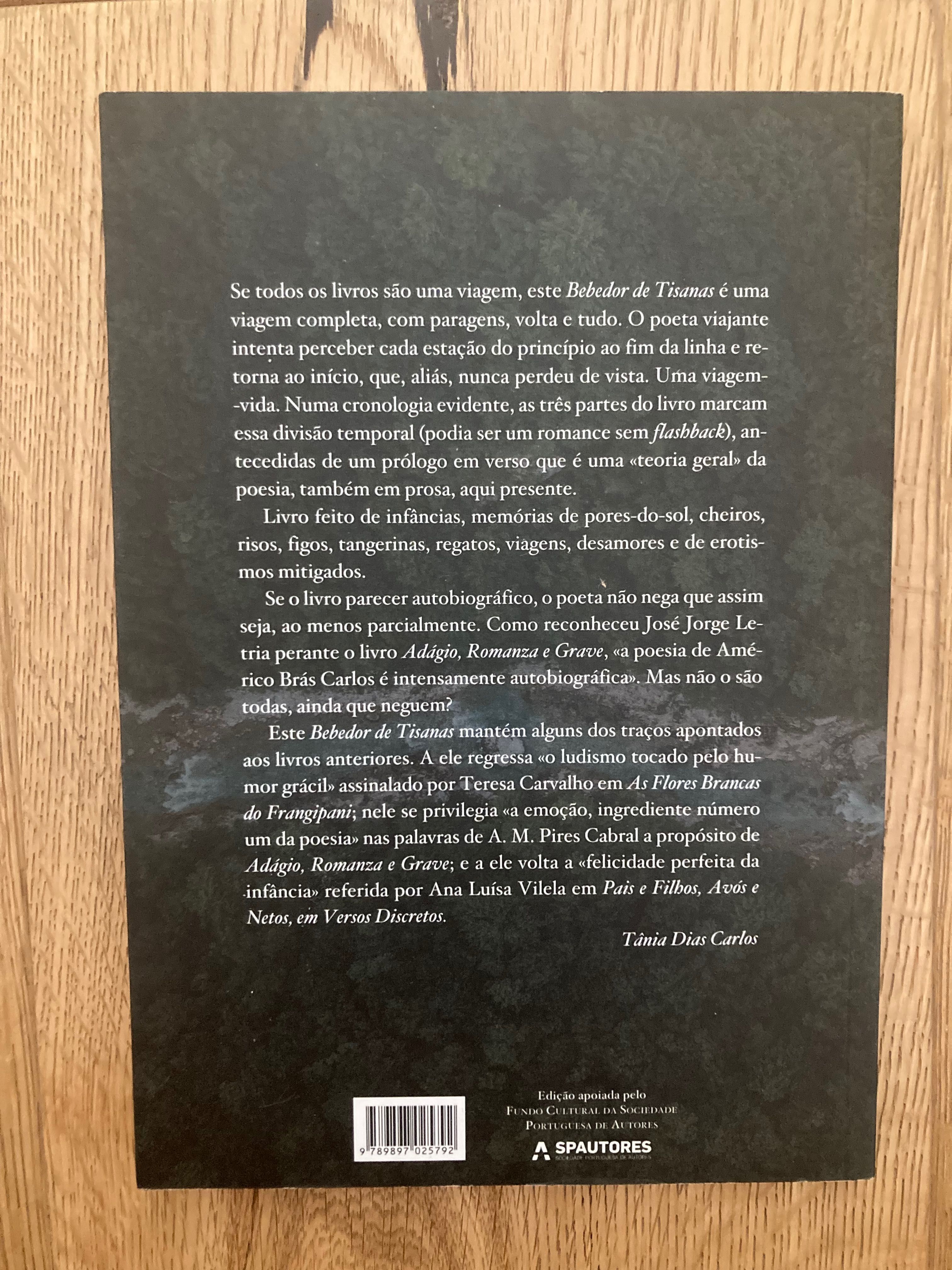 O bebedor de tisanas, de Américo Brás Carlos