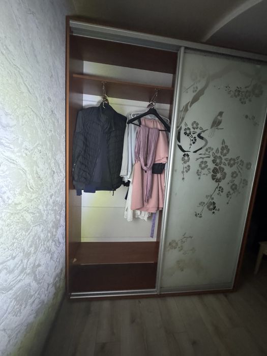 Шкаф-купе с матовыми стеклянными дверцами и красивым рисунком