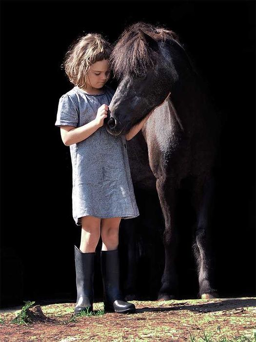 klacz kuc do hipoterapii dla dzieci bomboodporna