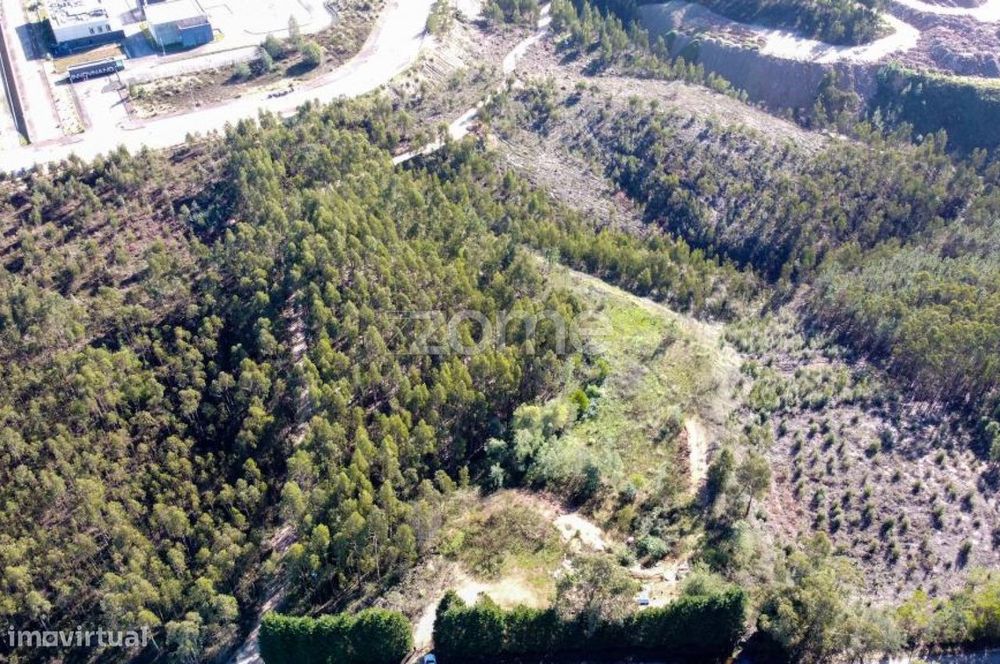 Terreno com 7550m2 em Antanhol