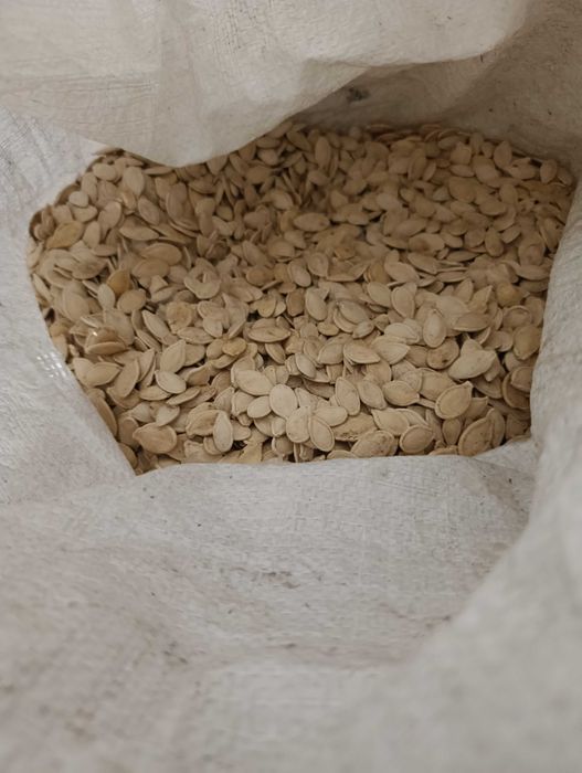 Семечки гарбузовые