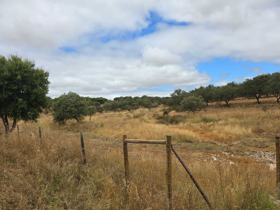 Propriedade 84 hectares com peq habitação