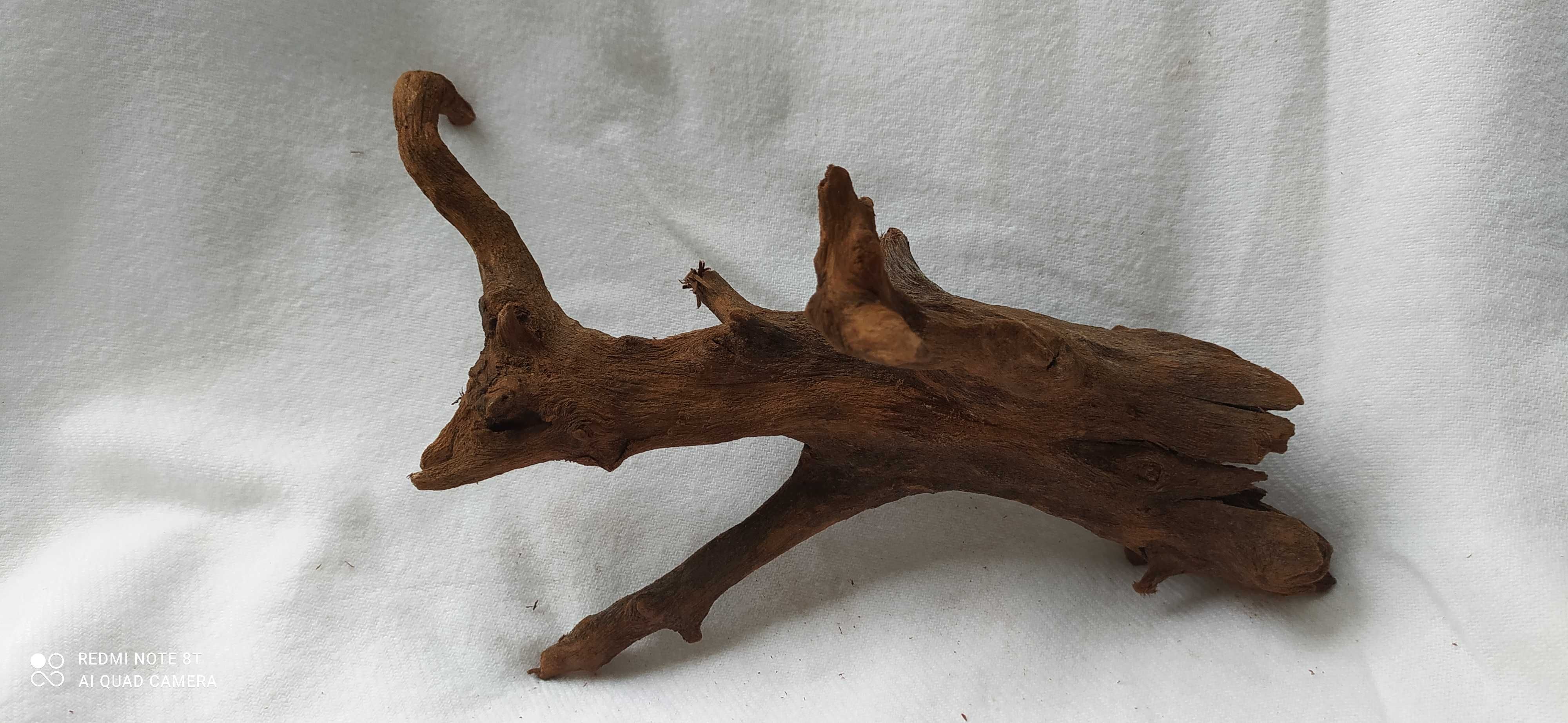 Korzeń do akwarium-24 cm