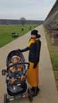 Wózek Dziecięcy Stokke Trailz Modern Grey