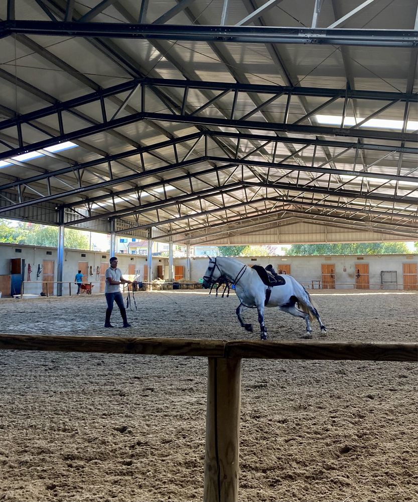 Cavalos a Penso - Canelas, Gaia, Porto