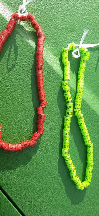 Obraczki dla gołębi 8mm DV FR RUS BELG 2026