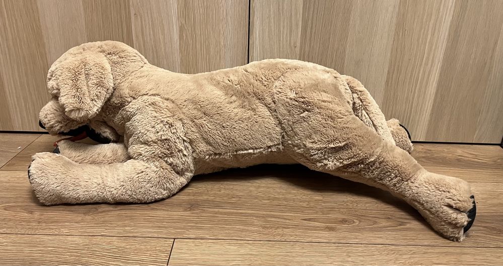Pluszak pies Golden Retriver