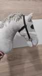 Ogłowie dla hobby horse