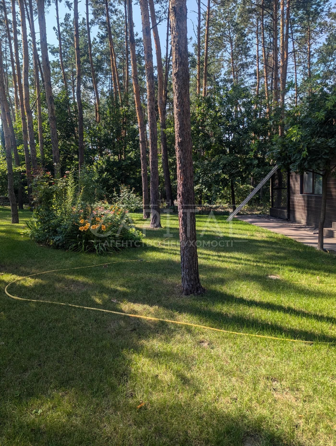 продаж будинку у Ходосівці, тераса 150м2, 35 сот. землі з лісом, озеро