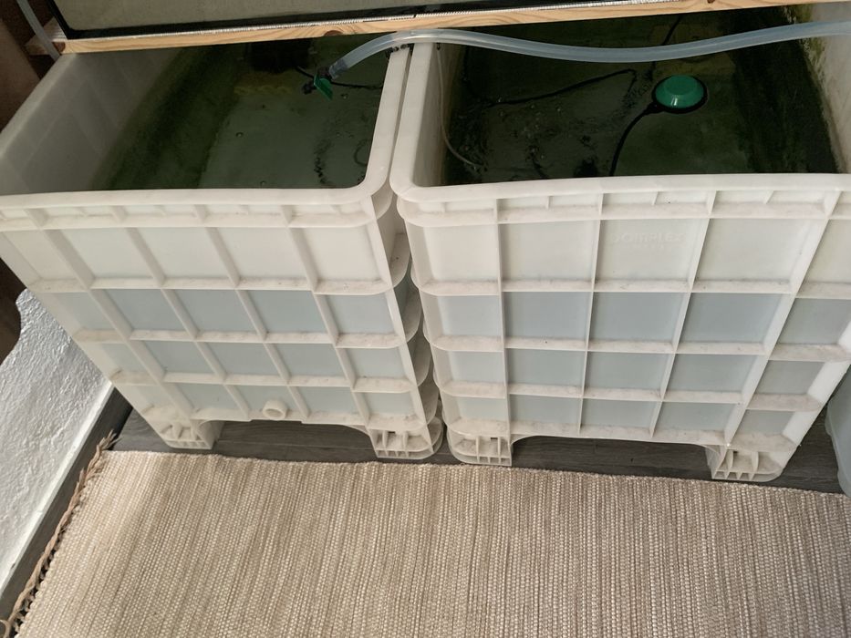 Vendo dois tanques