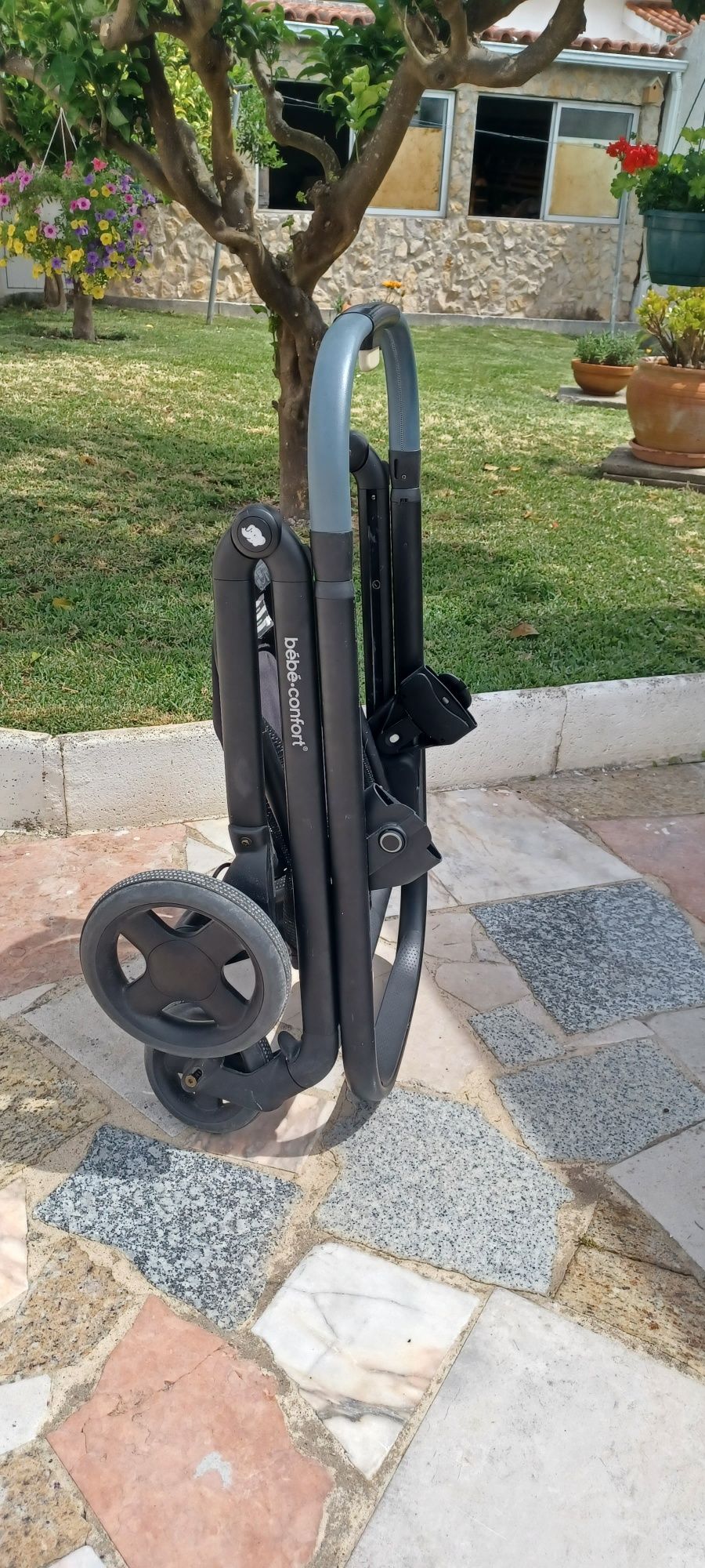 Carrinho de passeio e ovinho