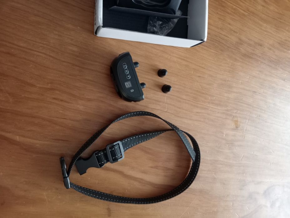 Coleira de treino para cães