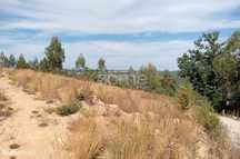 Terreno em Tonda com 2250 m2