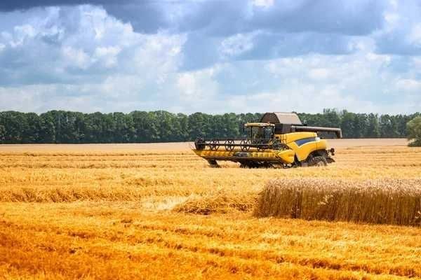 Продам земельну ділянку 2Га