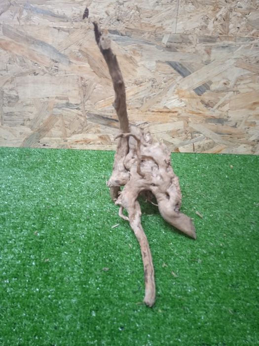 Korzeń do akwarium Red Moore Wood nr 268 o wymiarach 27/24/11