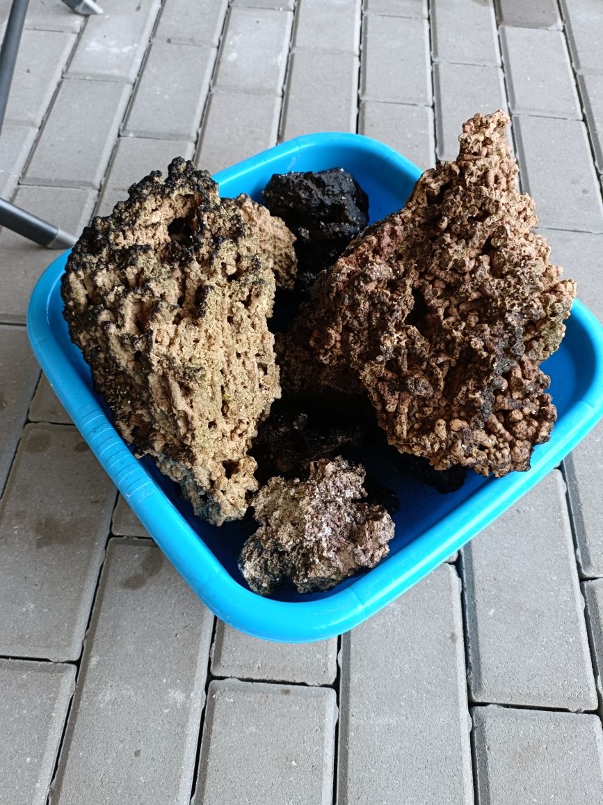 Kamienie do akwarium