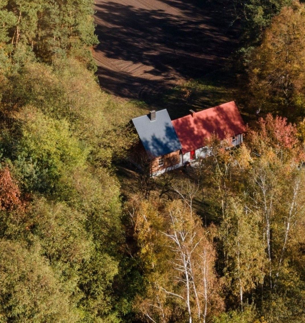 Domek wakacyjny. Dom, domek w lesie. Hetmanów koło Ostrowa Wlkp,