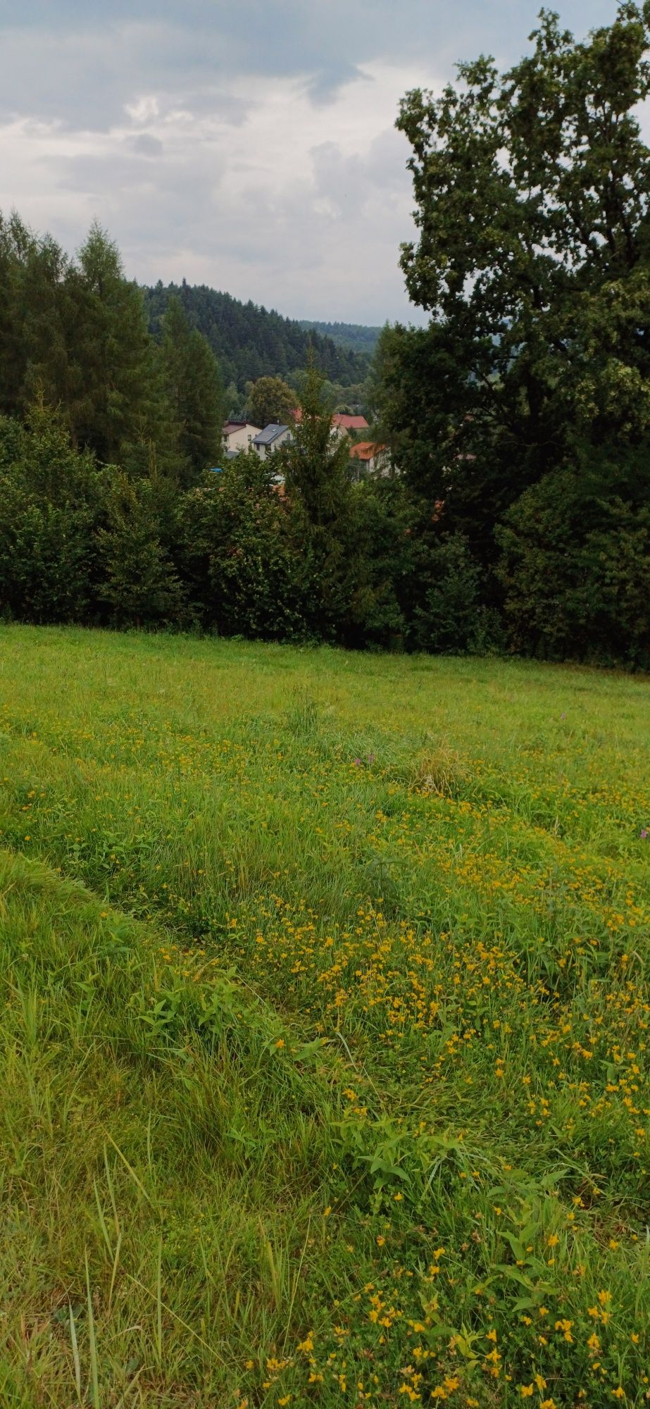 Nowy Sącz - Działka budowlana  na sprzedaż