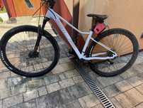 Rower mtb 29 Superior XC 889 W roz.s