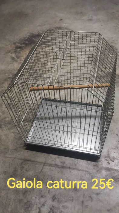 Comedouros para papagaio