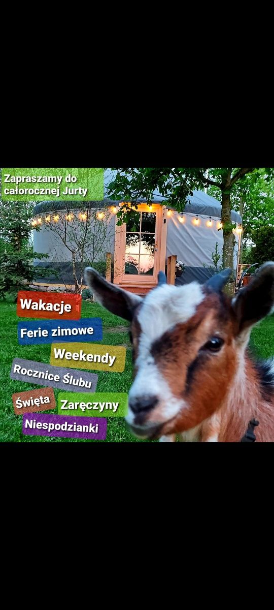 Jurta,domek nad morzem. Czynne cały rok !Glamping,ferie,walentynki