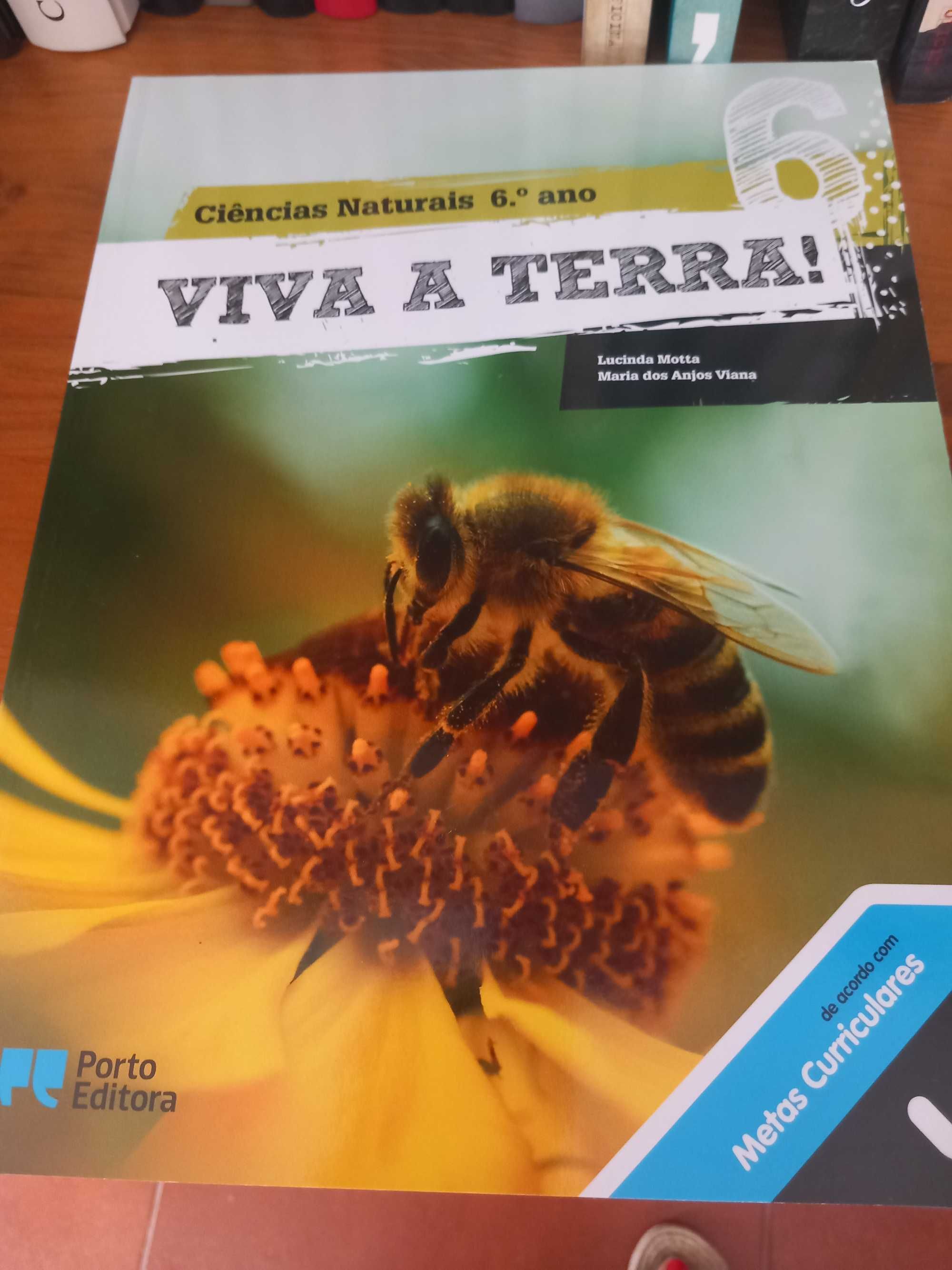 Livros de ciências de 6º ano