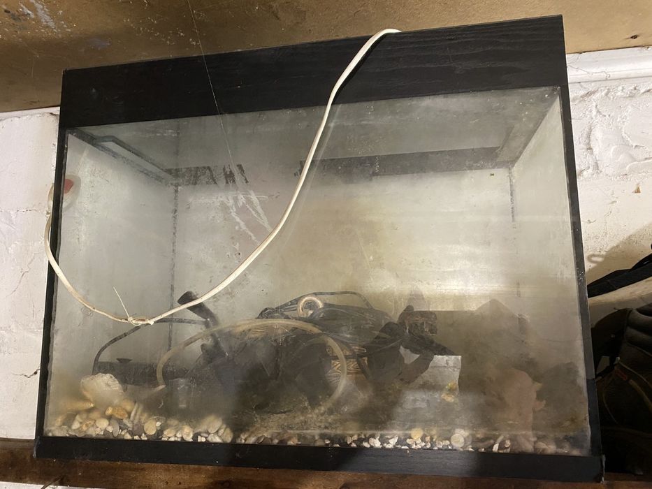 Аквариум с фильтром