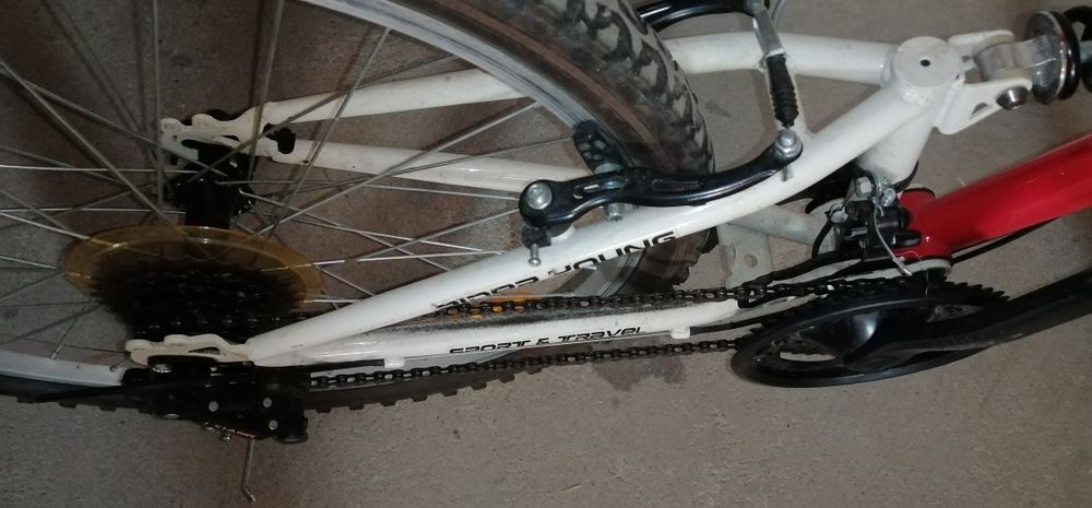 Rower 24" Rider FreeRoad