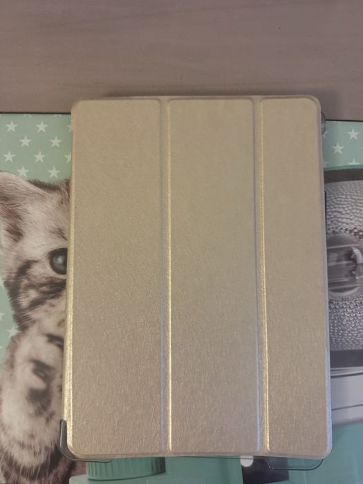 Capa dourada iPad Air 1a geração A1474