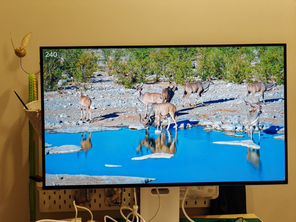 Monitor 32 cale 240 Hz OLED LG 32Gs95UV-W