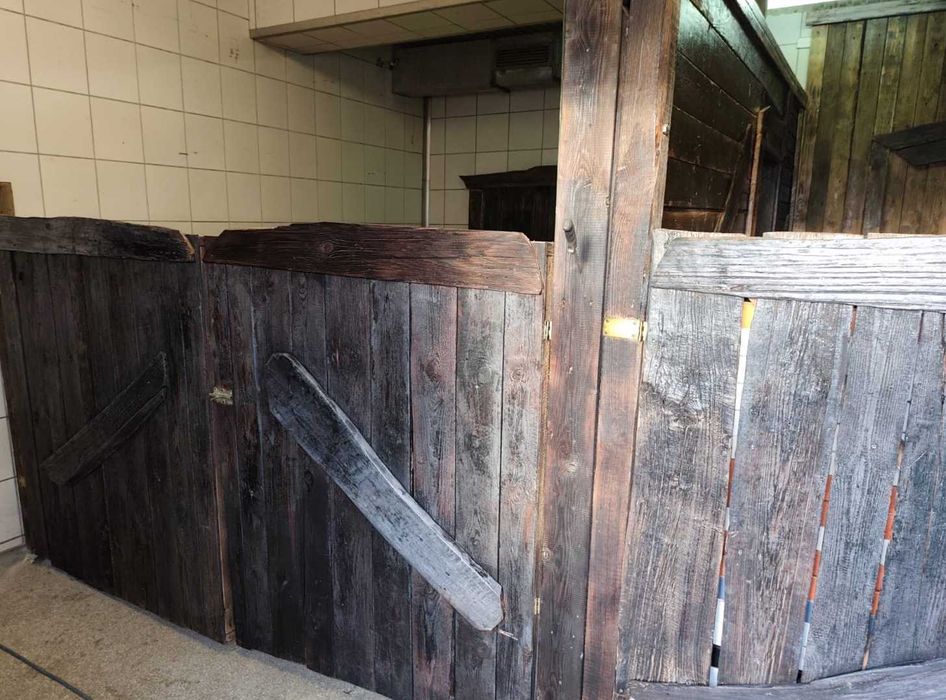 Wynajmę boksy dla koni