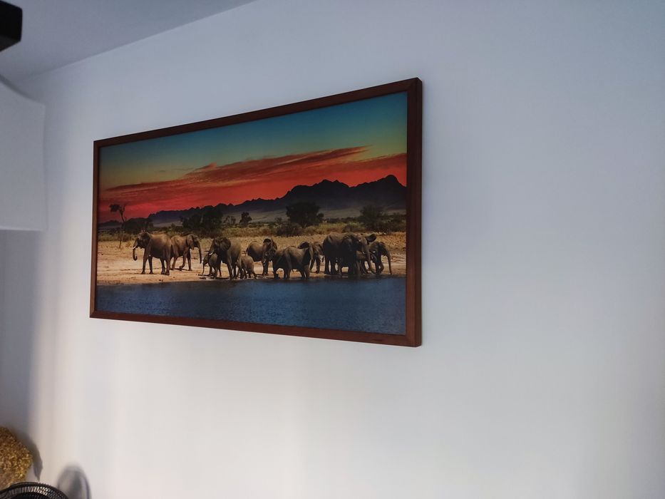 Piękny obraz Słonie nad wodą Duży 103x53 rama drewno