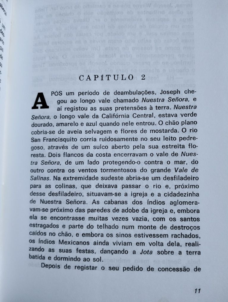 Livro A um Deus Desconhecido - John Steinbeck