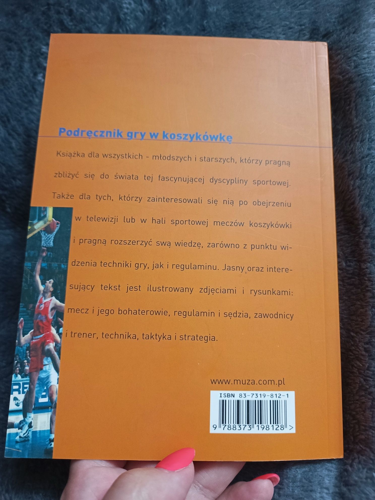 Koszykówka, Stefano Alfonsi