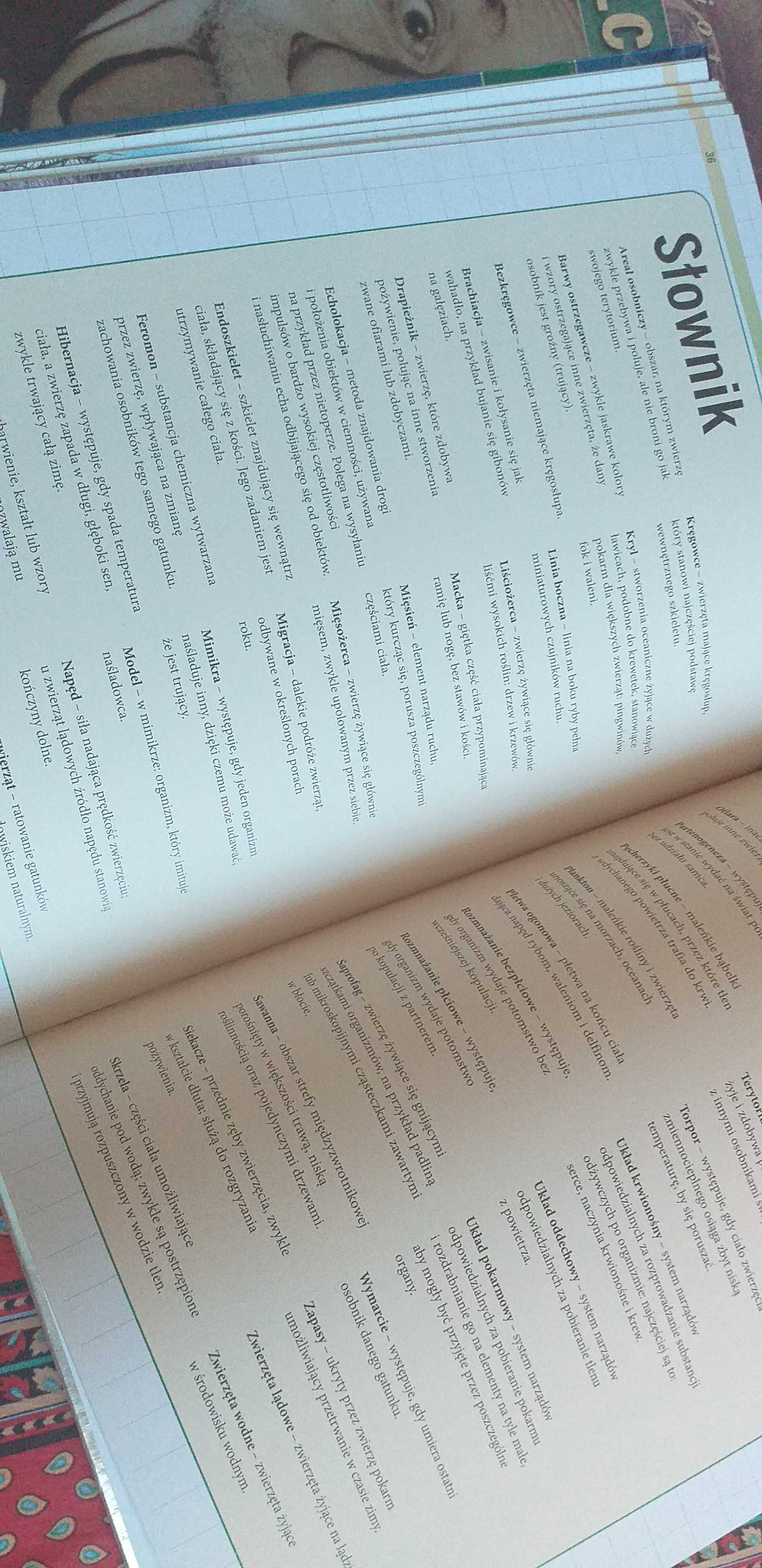 Książki z serii Biblioteczka wiedzy