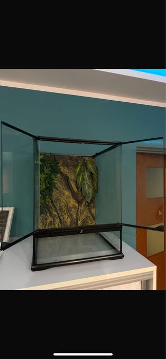 Terrarium z wypelnieniem