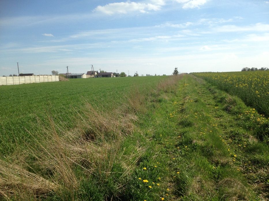 Paprotnia rolno-budowlana 3150m² z WZ, 1 km do granicy Łodzi media