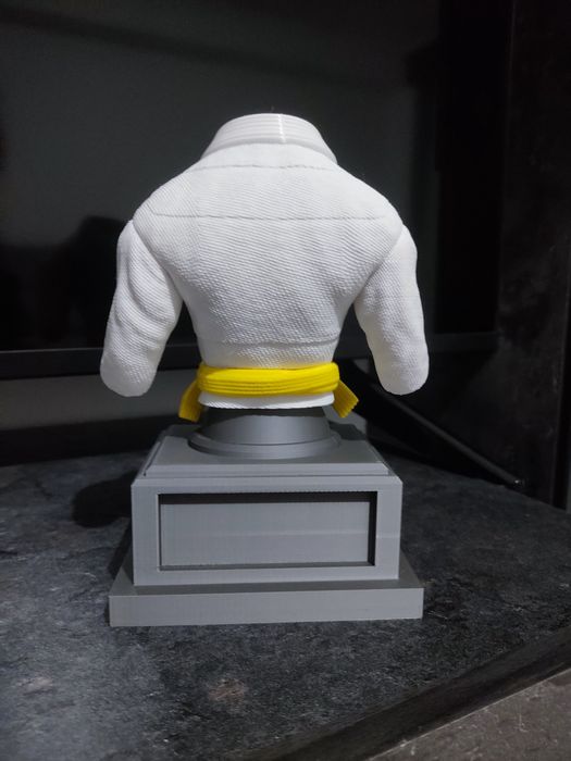 Estatueta tipo busto - Judo/Jiujitsu