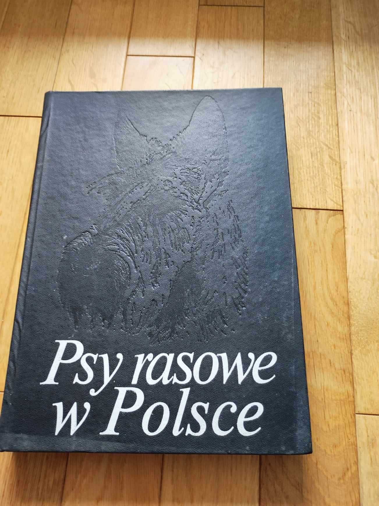 Psy rasowe w Polsce 1986