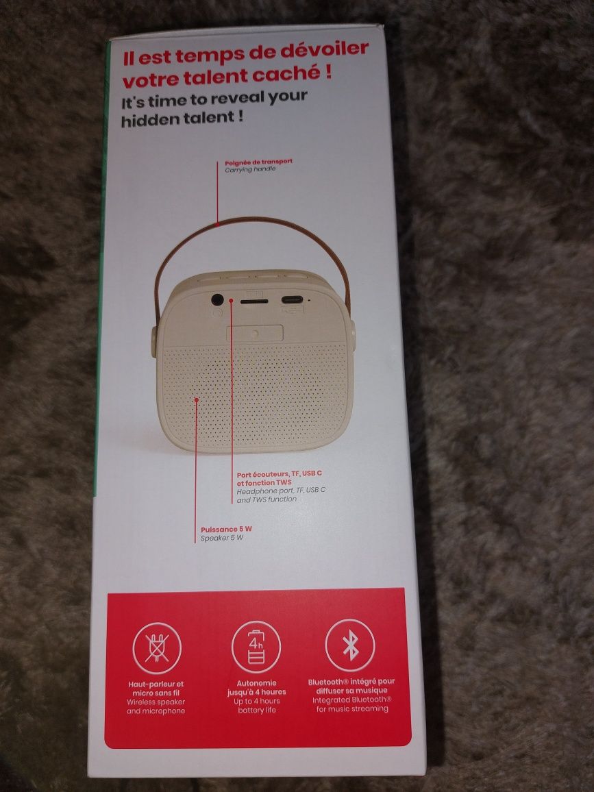 Mini Karaoké Sans Fil Bluetooth