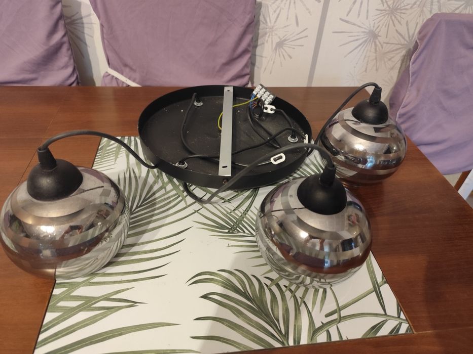 Żylandor trzy klosze