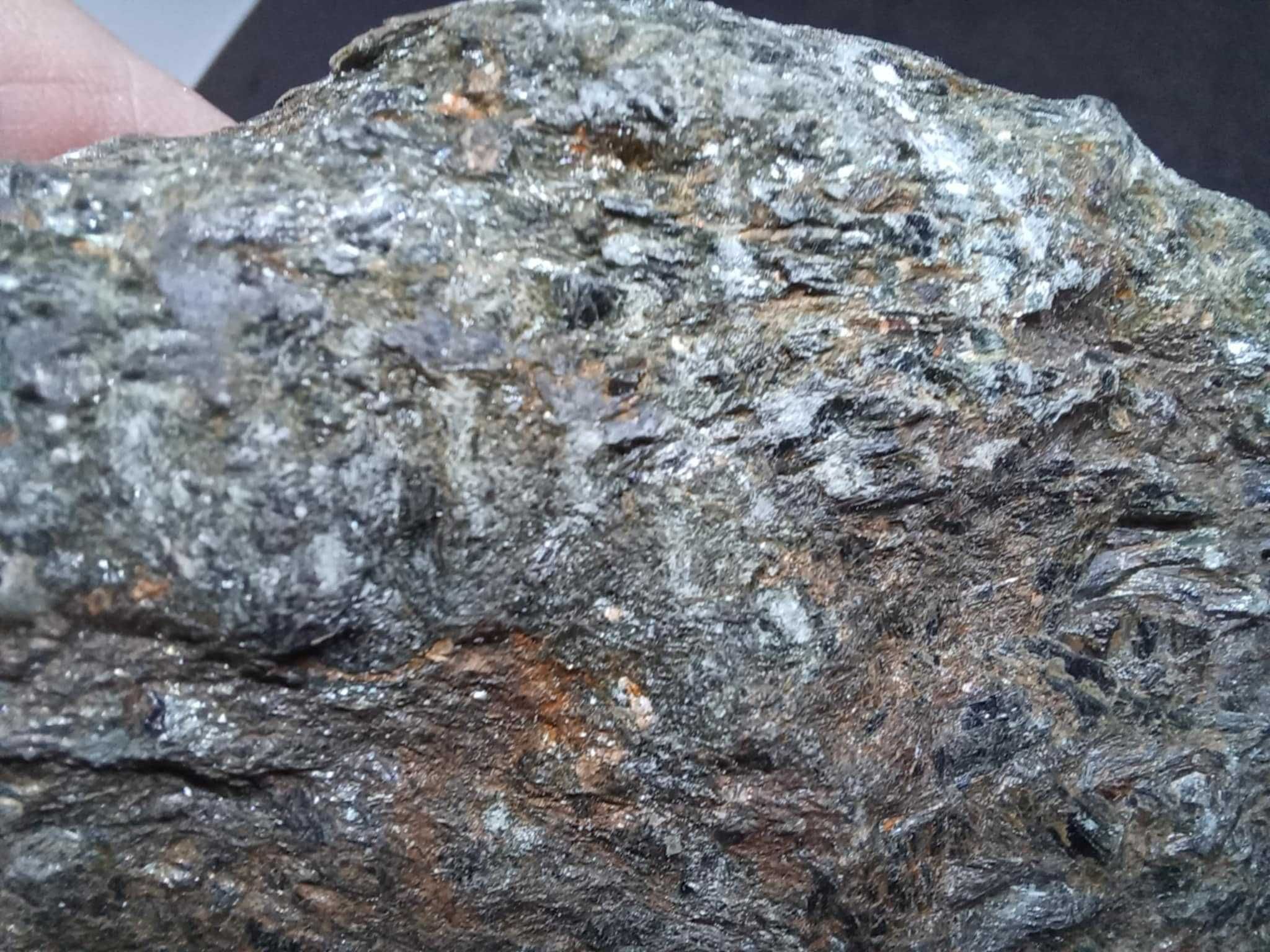 Magnetyt w amfibolicie. Ural. Rosja.
