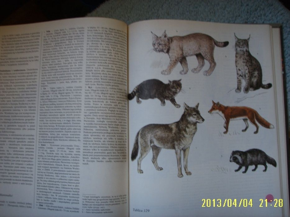 Świat zwierząt piękna księga